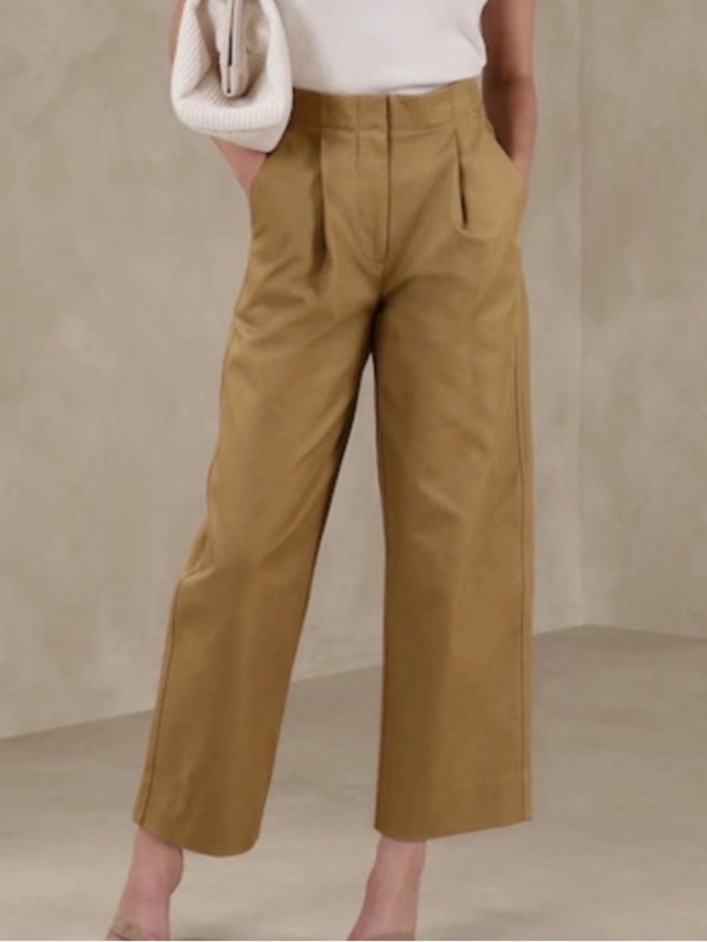 NWT Banana Republic Barrel Leg Chino Pants High Rise Pleated Tan Size 0